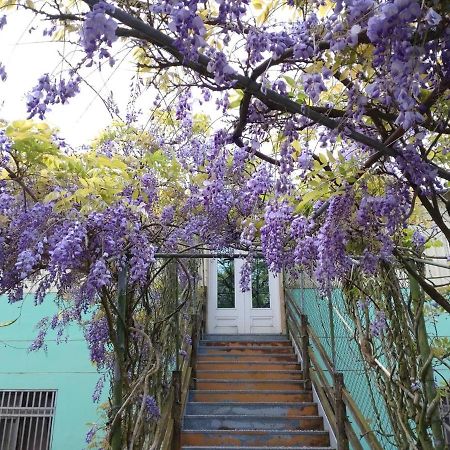 Youlin Homestay Meishan المظهر الخارجي الصورة