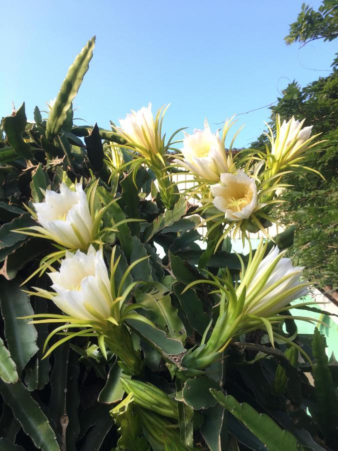 Youlin Homestay Meishan المظهر الخارجي الصورة