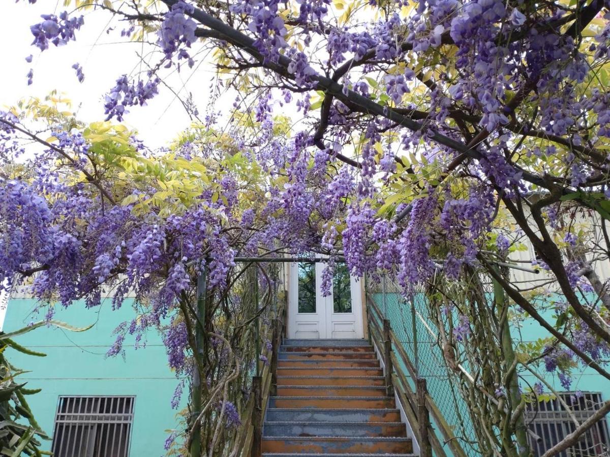 Youlin Homestay Meishan المظهر الخارجي الصورة